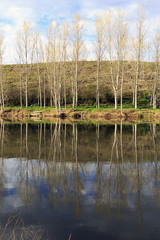 river Ter