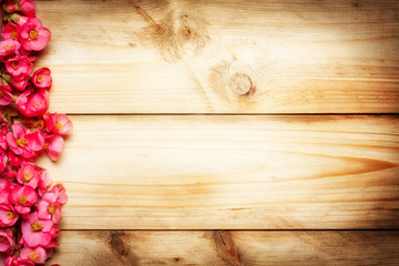 texture wood