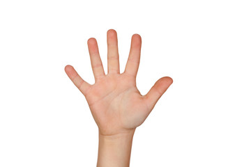 Open palm with five fingers