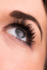 Obraz premium Female eye close up