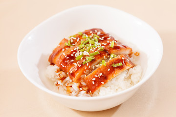 eel on rice,unaju, japanese unagi cuisine