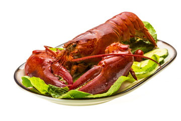 Large Lobster