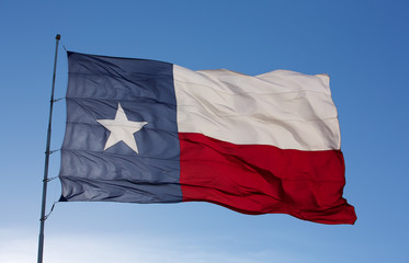 Naklejka na ściany i meble Flag of the State of Texas