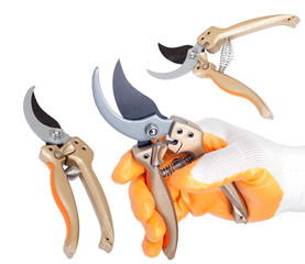pruners / pruning shears (with clipping paths)