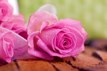 bud of pink rose on wooden background