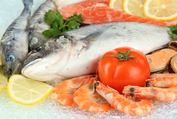 Fresh seafood on ice