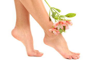 Beautiful woman legs, isolated on white