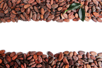 Cocoa beans with leaves isolated on white