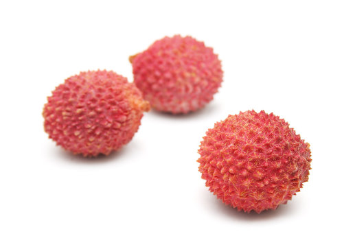 Lechees