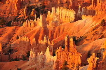 Panorama of Bryce Canyon Utah USA