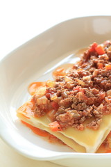 italian cuisine, prepared of lasagna