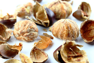 Sweet chestnuts