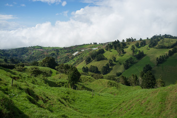 Fototapeta na wymiar Zielona Kostaryka