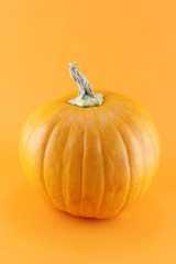 ripe pumpkin