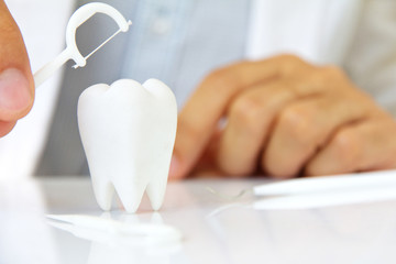 dentist holding dental floss with molar, flossing teeth concept