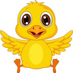 Cute baby chicken cartoon