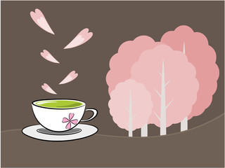 Tea and sakura flower illustration