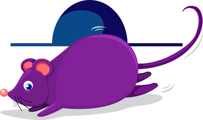 Rat vector Illustration