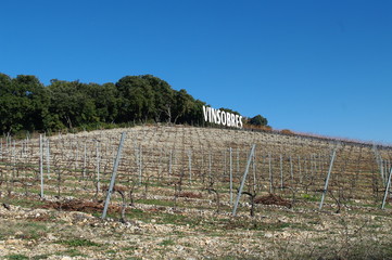 vignoble de vinsobres