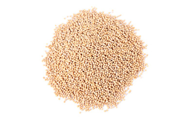 Mustard seeds