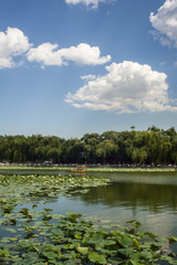 Naklejka na ściany i meble Scene of imperial park:lake, flowers and boat, Beihai in Beijin