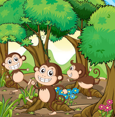 Obraz na płótnie Canvas Trzy małpy bawiące się w lesie