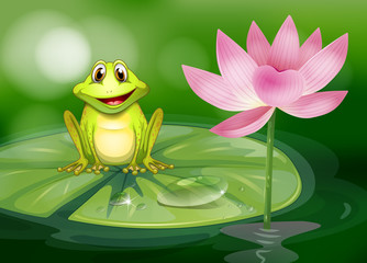 A frog beside the pink flower at the pond