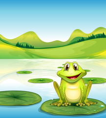 A frog above the waterlily in the pond
