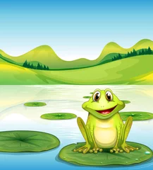 Wall murals River, lake A frog above the waterlily in the pond
