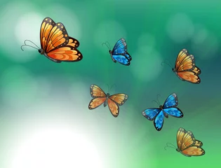 Crédence de cuisine en verre imprimé Papillon Une papeterie avec des papillons oranges et bleus