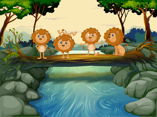 Vier junge Löwen am Fluss