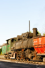 Fototapeta na wymiar steam locomotive,delivery point in Oskova,Bosnia and Hercegovina