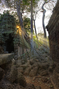 Tempelanlage Ta Prohm in Kambodscha