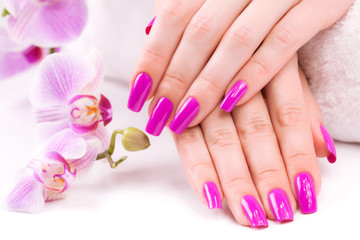 beautyful manicure with fragrant orchid and towel. Spa - obrazy, fototapety, plakaty
