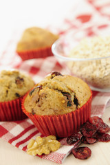 Delicious cranberry oatmeal muffins