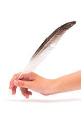 Feather in hand isolated on white