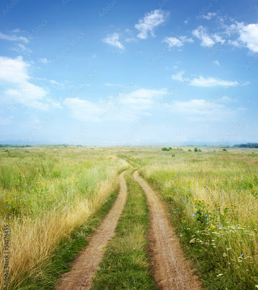 Wall mural summer landscape