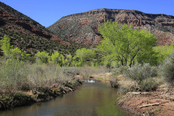 Treasures of New Mexico
