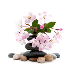 Fototapeta na wymiar Zen / spa stones with flowers