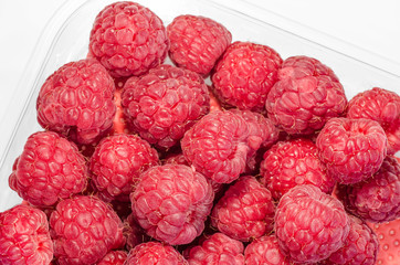 Frische Bio-Himbeeren in Schale 1