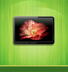 Vector lcd, plasma tv with beautiful poppy hanging on a green wa
