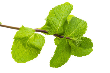 Pepper mint