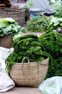 Lao Vegetable