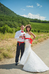 Bride and groom on the background of vineyards