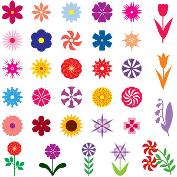 Set multicolor flower