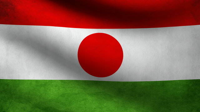 Niger flag.