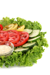 Chopped vegetables and sauce on plate isolated on white