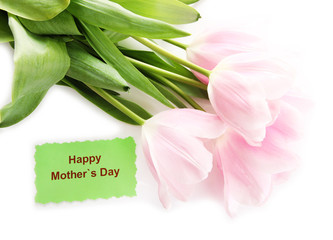 Beautiful bouquet of pink tulips for Mother's Day, isolated