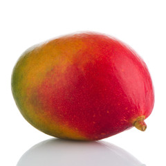 Mango fruit