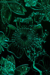 Fantastic illustrated floral glass background design